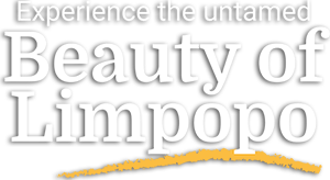 Experience the untamed Beauty of Limpopo