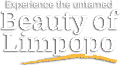 Experience the untamed Beauty of Limpopo