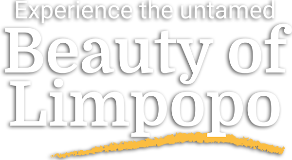 Experience the untamed Beauty of Limpopo