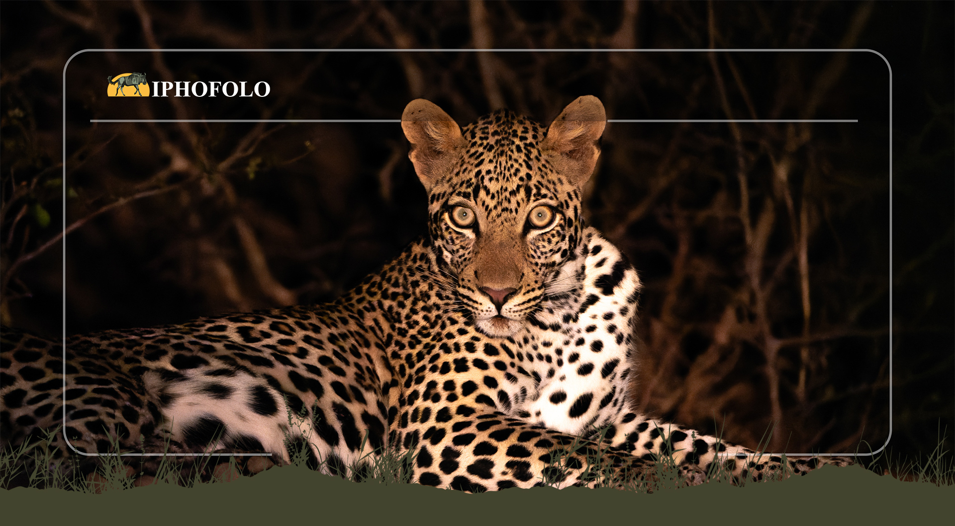 iPhofolo Game Farm
