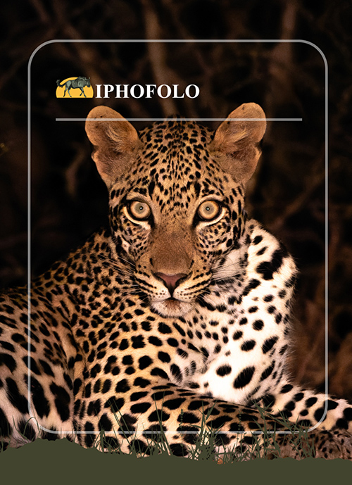 iPhofolo Game Farm