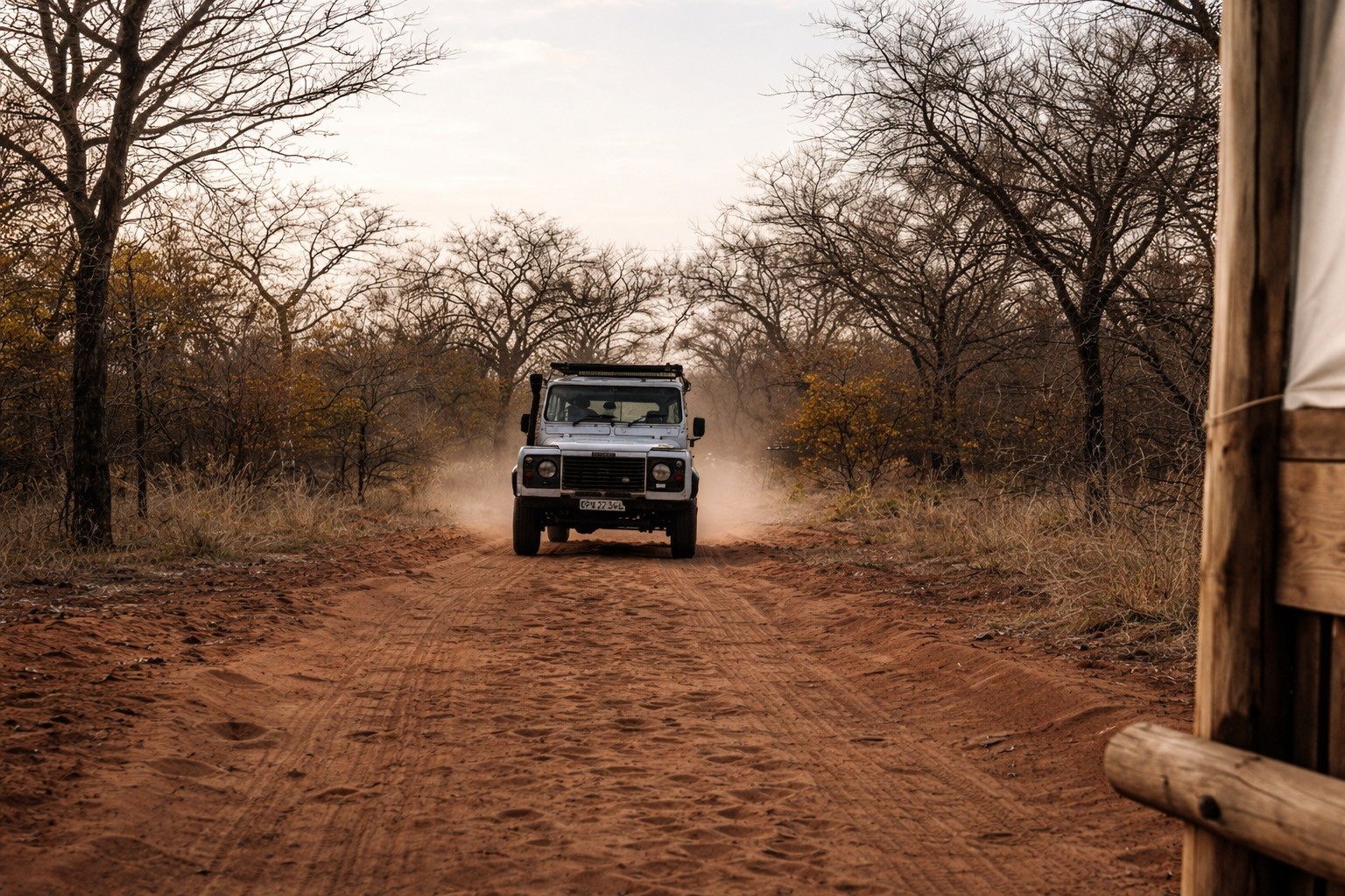 safari vehicle driving